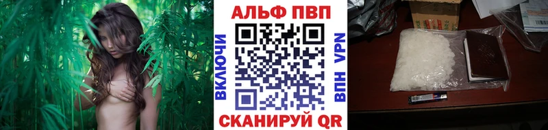 Альфа ПВП СК  Барабинск 