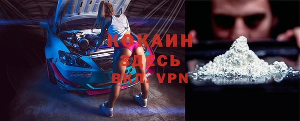 СК Осинники