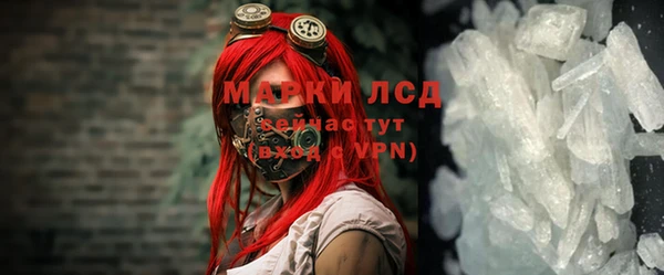 СК Осинники
