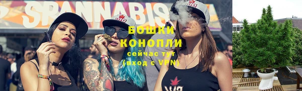 СК Осинники