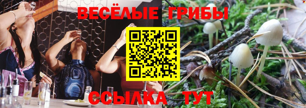 Псилоцибиновые грибы Cubensis  Вход с VPN  купить   Галлюциногенные грибы ЛСД  Барабинск 