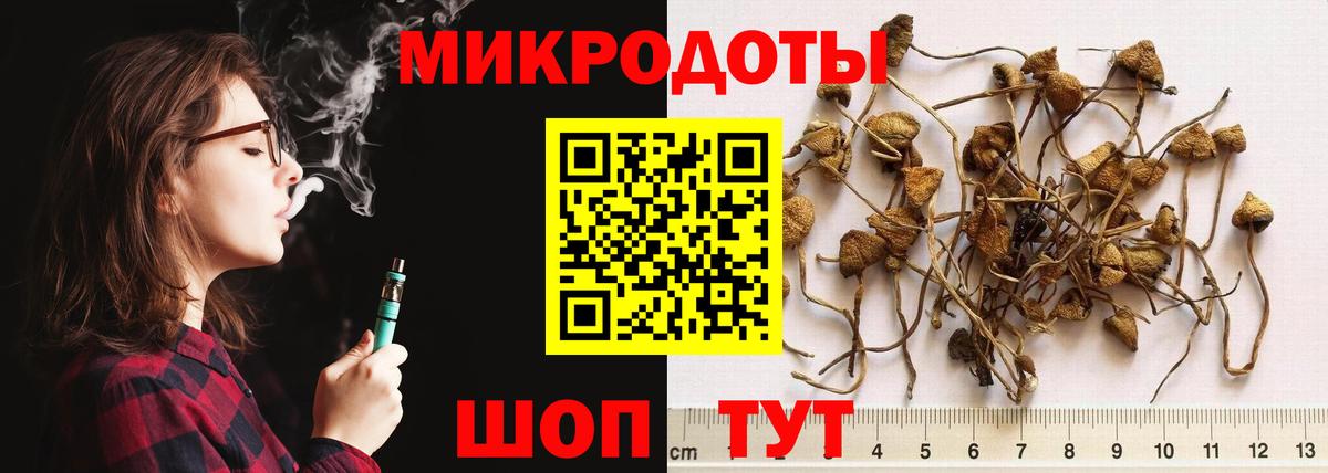 Псилоцибиновые грибы ЛСД Барабинск