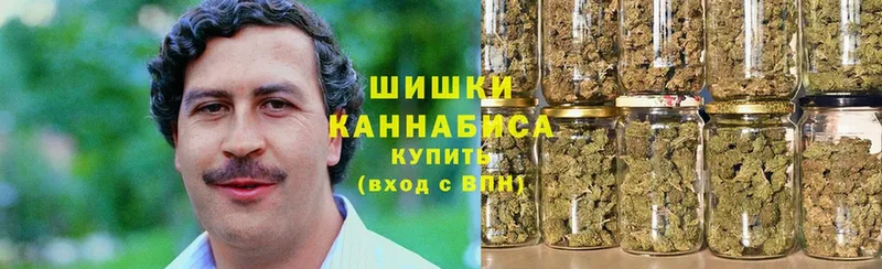 Бошки Шишки THC 21%  как найти закладки  Барабинск 